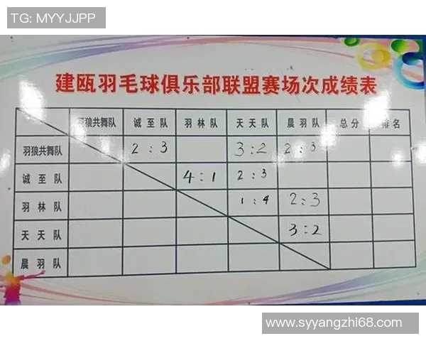 武汉羽毛球队技术表现分析与联赛成绩的深度解读