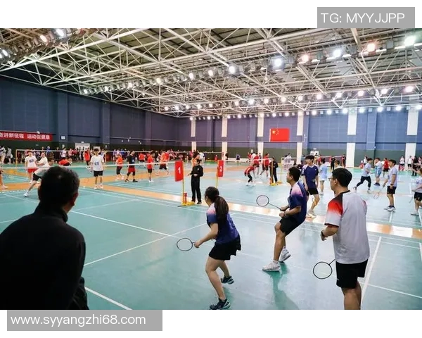 深入分析北京羽毛球队独特的防守策略与战术执行