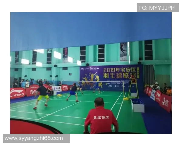 深圳羽毛球队在总决赛中的比赛经验与表现分析