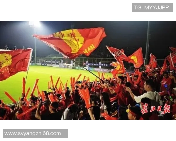 武汉足球队团队协作展现出色大满贯点评助力球队未来发展