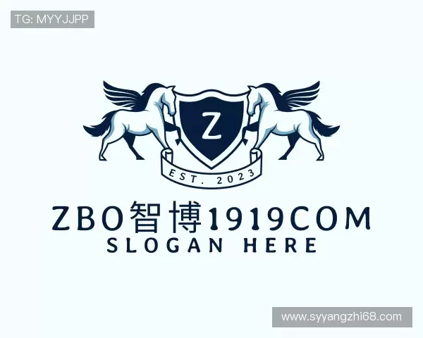 解读zbo1919