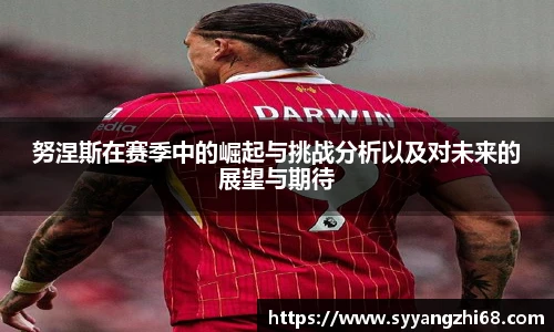 努涅斯在赛季中的崛起与挑战分析以及对未来的展望与期待